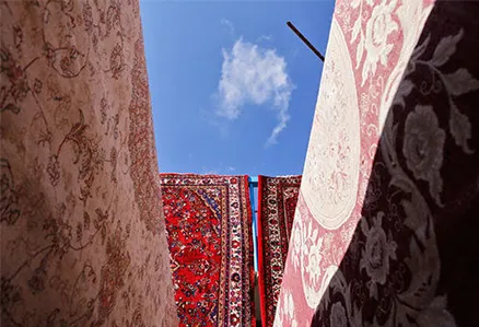 خدمات تخصصی قالیشویی در کردان